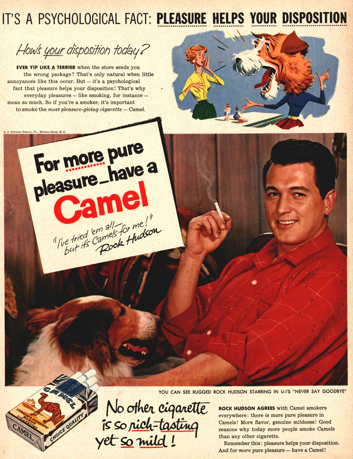 Camel advertisement reading 